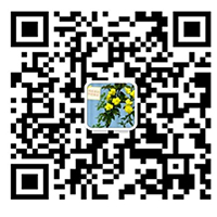 石蜡油生产厂家
